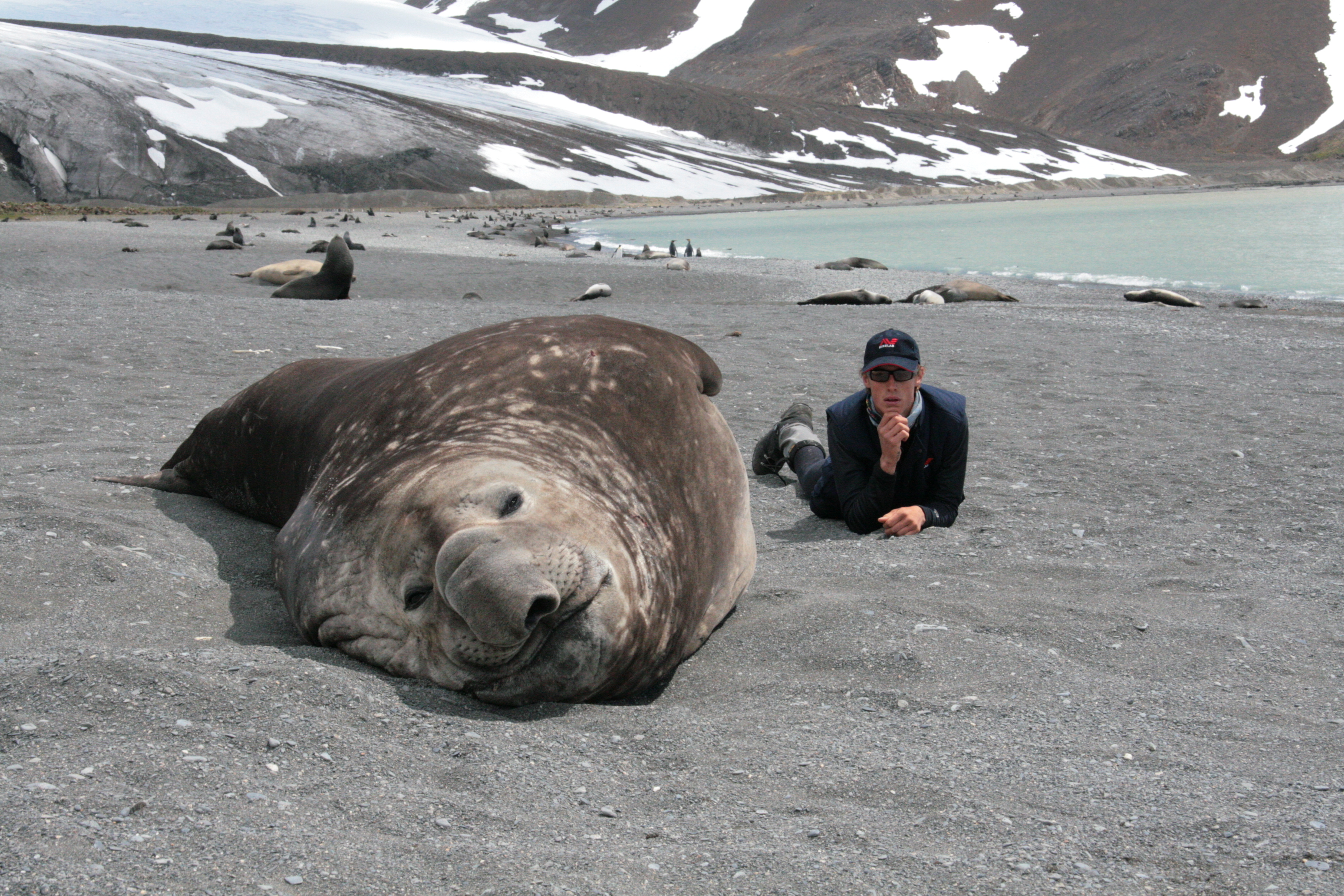 Elephant Seal and GB on South Georgia